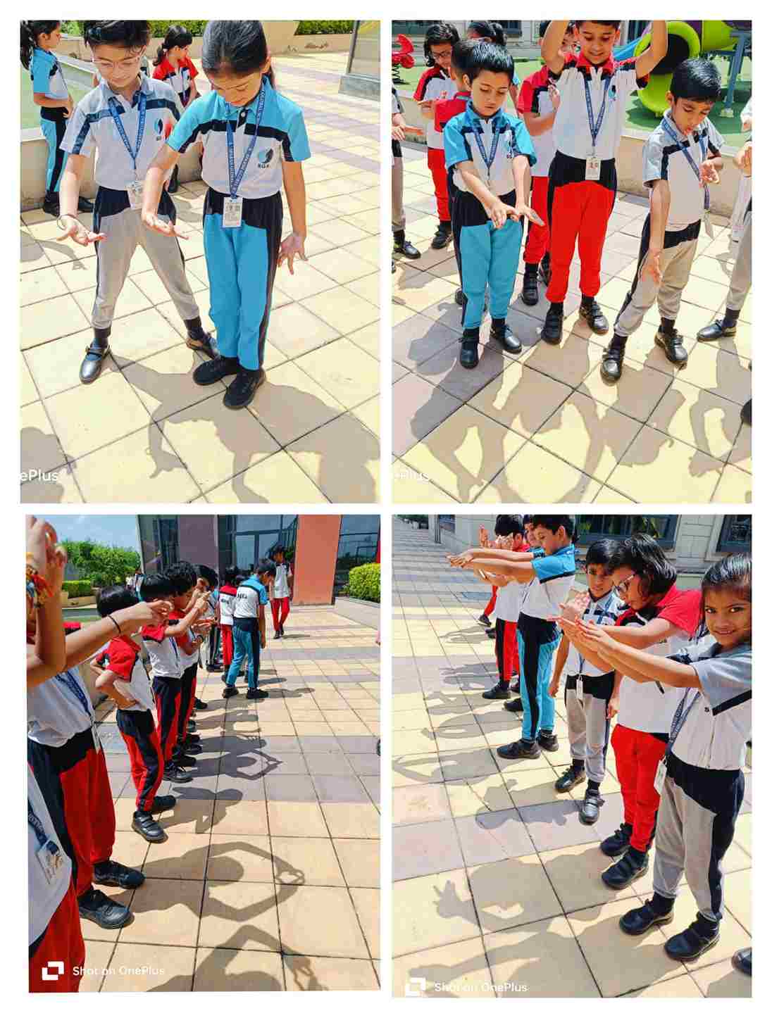 Experiential Learning: EVS